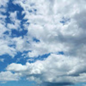 Meet your Posher, Felicia